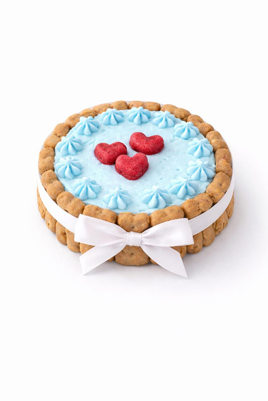 Hundetorte - Blue 💙
